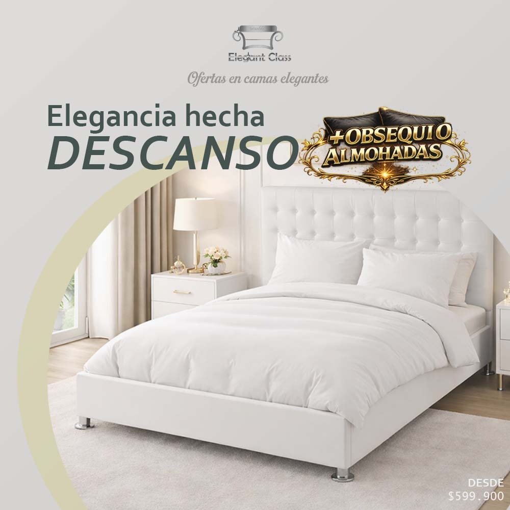 WhatsApp Image 2026-01-09 at 5.47.13 PM